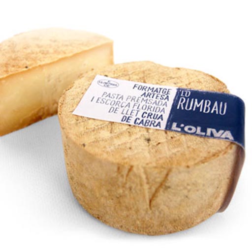 oliva